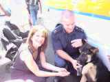 Police dog at Haringey Police Open Day
