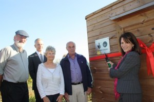 With project team at Allotment With project team at Allotment
