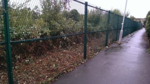 The Network Rail land alongside the alleyway, now clear of rubbish thanks to a campaign by Lynne Featherstone MP and local residents. 